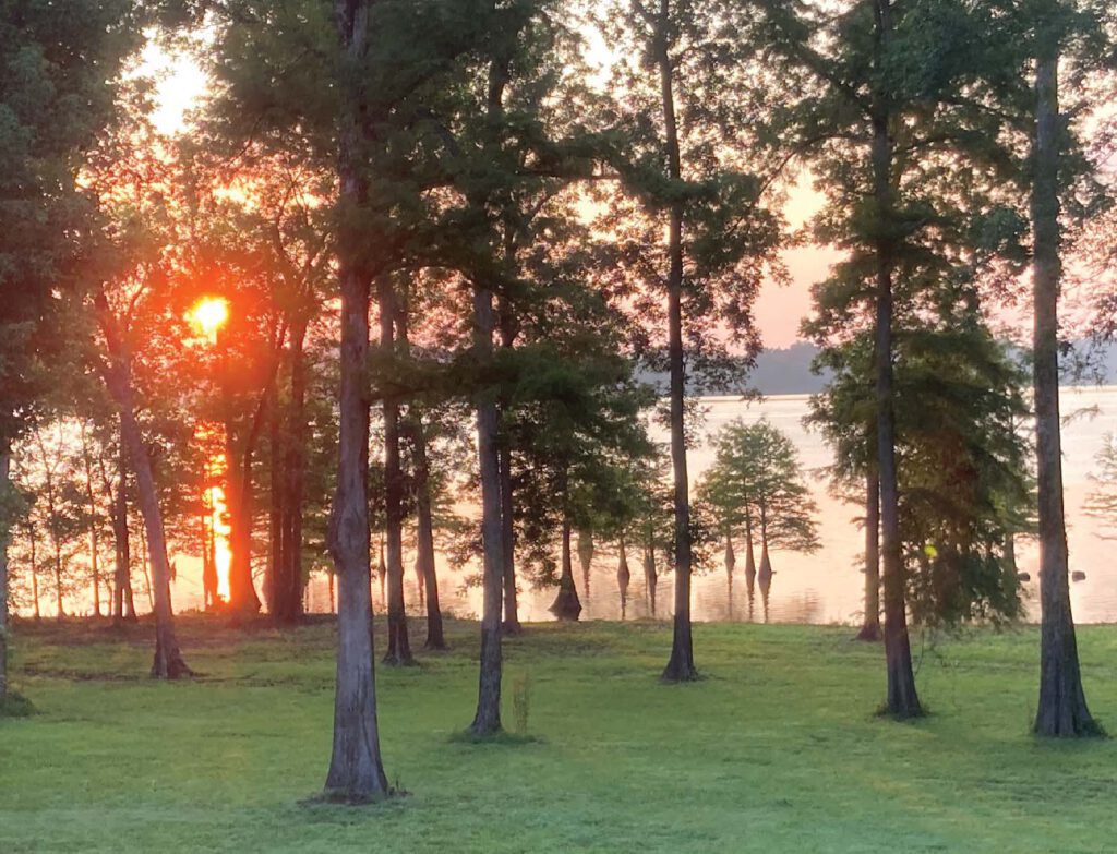 Sunset and cypress trees lakeside